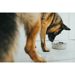 Mangeoire pour chiens Hunter Silicone Acier inoxydable 4,1 L Mangeoire pour chiens Hunter Silicone Acier inoxydable 4,1 L