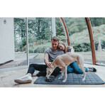 Mangeoire pour chiens Hunter Silicone Acier inoxydable 4,1 L Mangeoire pour chiens Hunter Silicone Acier inoxydable 4,1 L