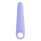 Vibrator Evolved Purple