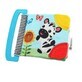 Teething toy in book form, 11794, Bright Starts