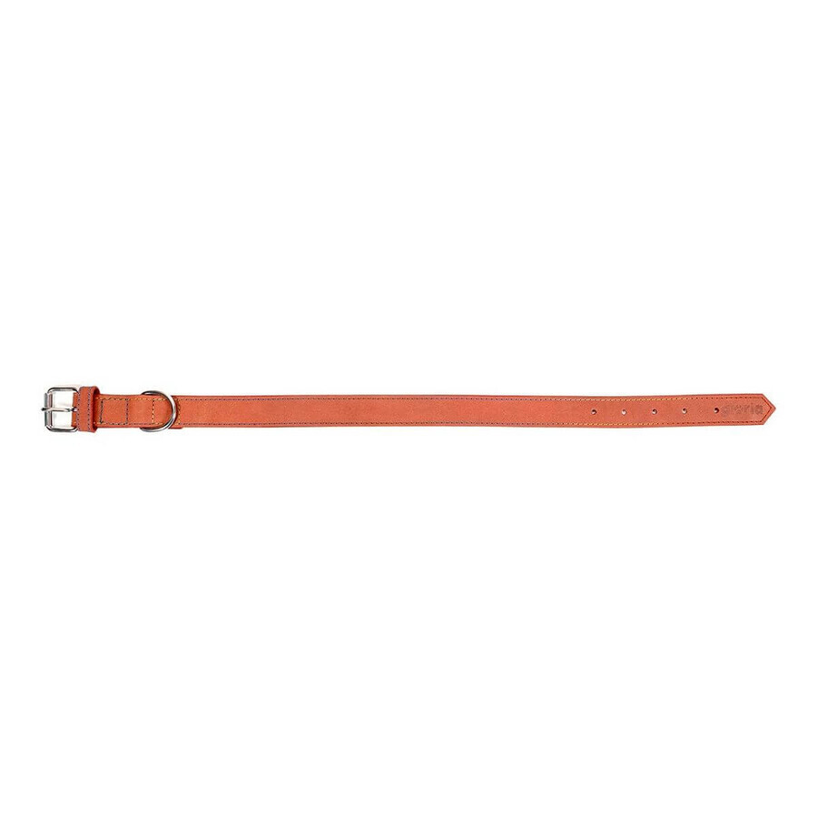 Collier pour Chien Gloria Oasis Rouge (50 x 2,1 cm) Collier pour Chien Gloria Oasis Rouge (50 x 2,1 cm)