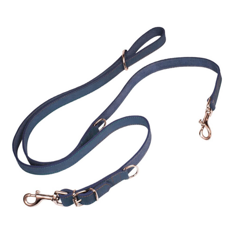 Boutique Laisse pour Chien Gloria Oasis Multiple 2.1 x 200 cm Bleu Laisse pour Chien Gloria Oasis Multiple 2.1 x 200 cm Bleu