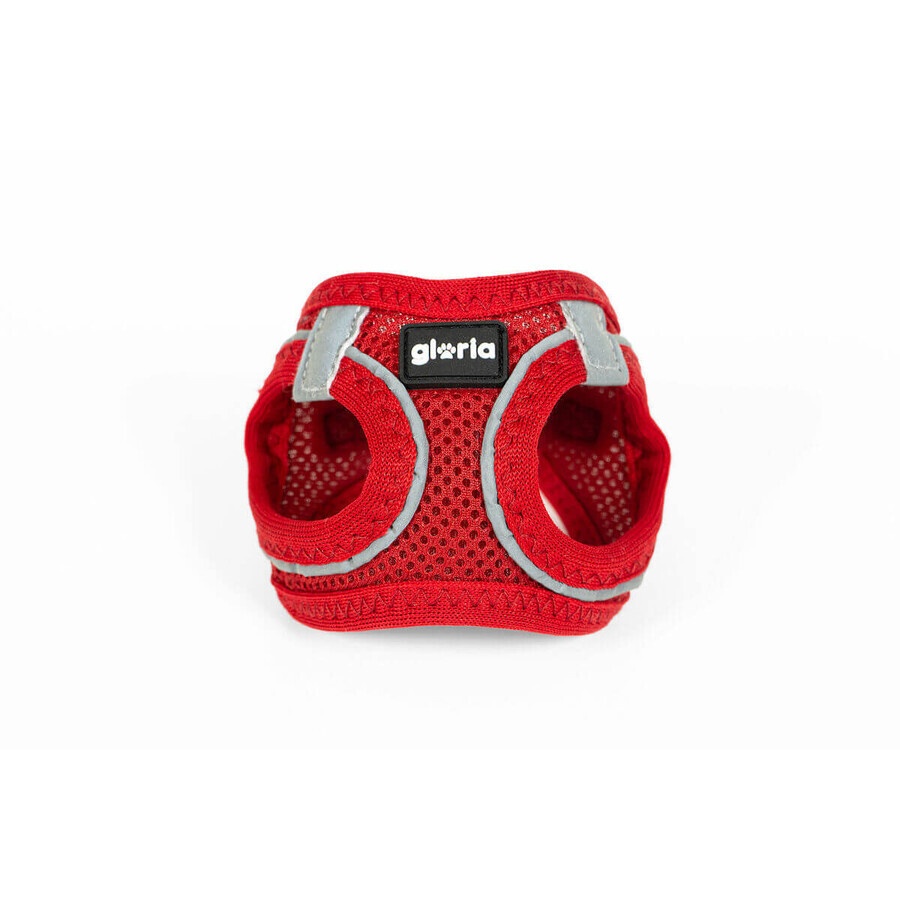 Dog Harness Gloria Trek Star 27-28 cm 31-34,6 cm Red XS Dog Harness Gloria Trek Star 27-28 cm 31-34,6 cm Red XS