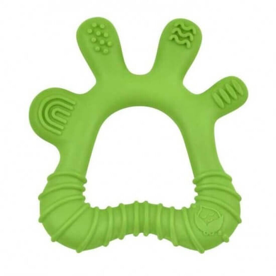 Juguete para la dentición y cepillo para masajear las encías, Verde, +3 meses, Green Sprouts