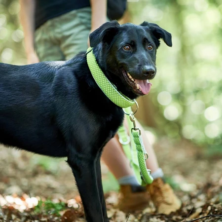 Hunter Vario Plus Fire Collar para perro Hunter Vario Plus Talla Verde lima (40-60 cm)