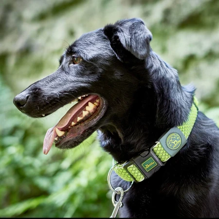 Hunter Vario Plus Fire Collar para perro Hunter Vario Plus Talla Verde lima (40-60 cm)