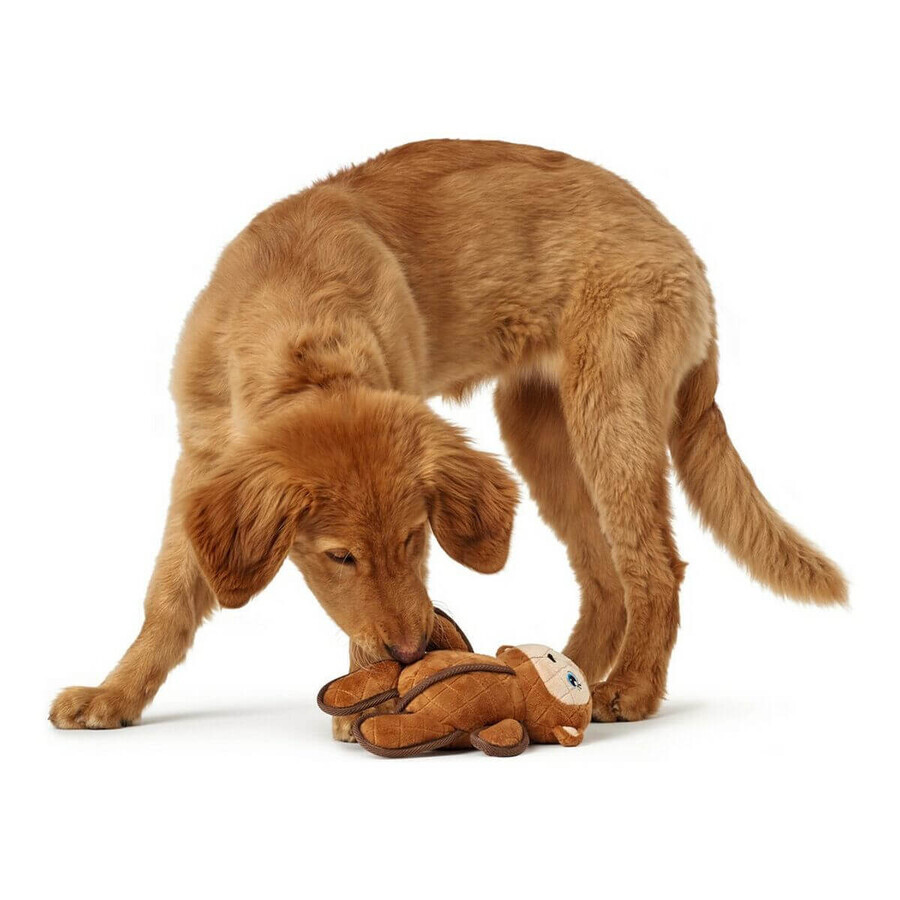 Jouet pour chien Hunter Togh Toys Marron 25 cm Singe Jouet pour chien Hunter Togh Toys Marron 25 cm Singe