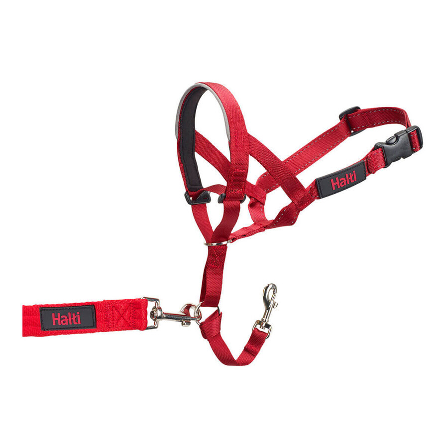 Acquista Collari da addestramento per cani Company of Animals Halti Museruola (46-62 cm) Collari da addestramento per cani Company of Animals Halti Museruola (46-62 cm)