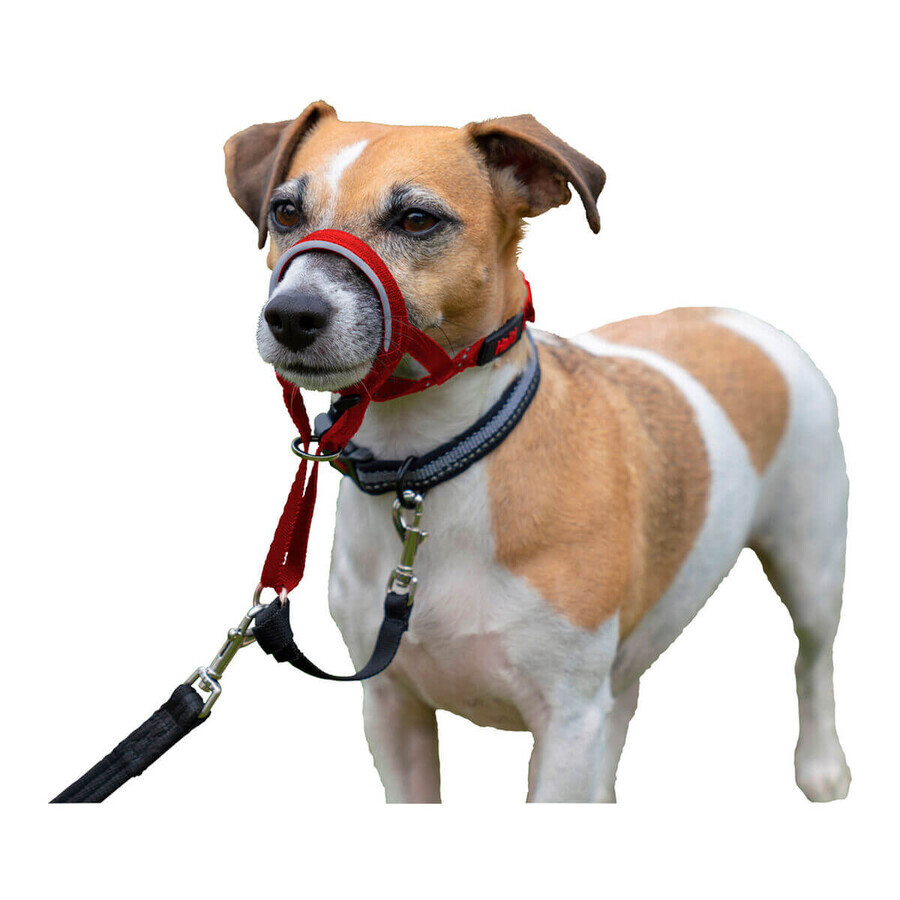 Collari da addestramento per cani Company of Animals Halti Museruola (46-62 cm) Collari da addestramento per cani Company of Animals Halti Museruola (46-62 cm)