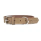 Hondenhalsband Gloria Oasis Wit (1,5 x 40 cm)