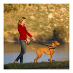 Imbracatura per Cani Company of Animals Halti Nero/Rosso L (80-120 cm) Imbracatura per Cani Company of Animals Halti Nero/Rosso L (80-120 cm)