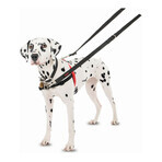 Imbracatura per Cani Company of Animals Halti Nero/Rosso L (80-120 cm) Imbracatura per Cani Company of Animals Halti Nero/Rosso L (80-120 cm)