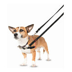 Imbracatura per Cani Company of Animals Halti Nero/Rosso L (80-120 cm) Imbracatura per Cani Company of Animals Halti Nero/Rosso L (80-120 cm)