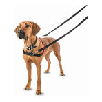 Imbracatura per Cani Company of Animals Halti Nero/Rosso L (80-120 cm) Imbracatura per Cani Company of Animals Halti Nero/Rosso L (80-120 cm)