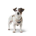 Harnais pour Chien Hunter DIVO UP Beige L
