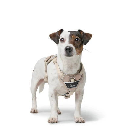 Hondentuigje Hunter DIVO UP Beige L