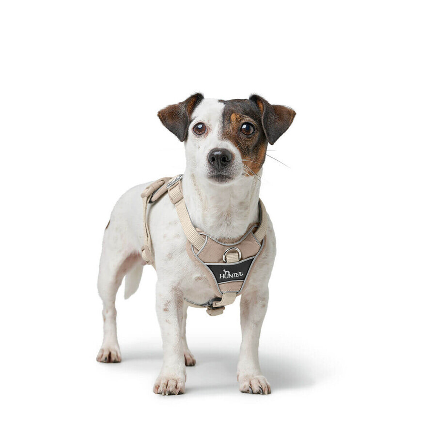 Harnais pour Chien Hunter DIVO UP Beige L