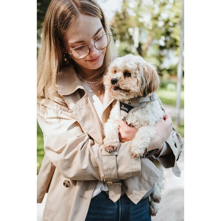 Hondentuigje Hunter DIVO UP Beige L