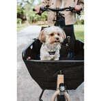 Harnais pour Chien Hunter DIVO UP Beige L