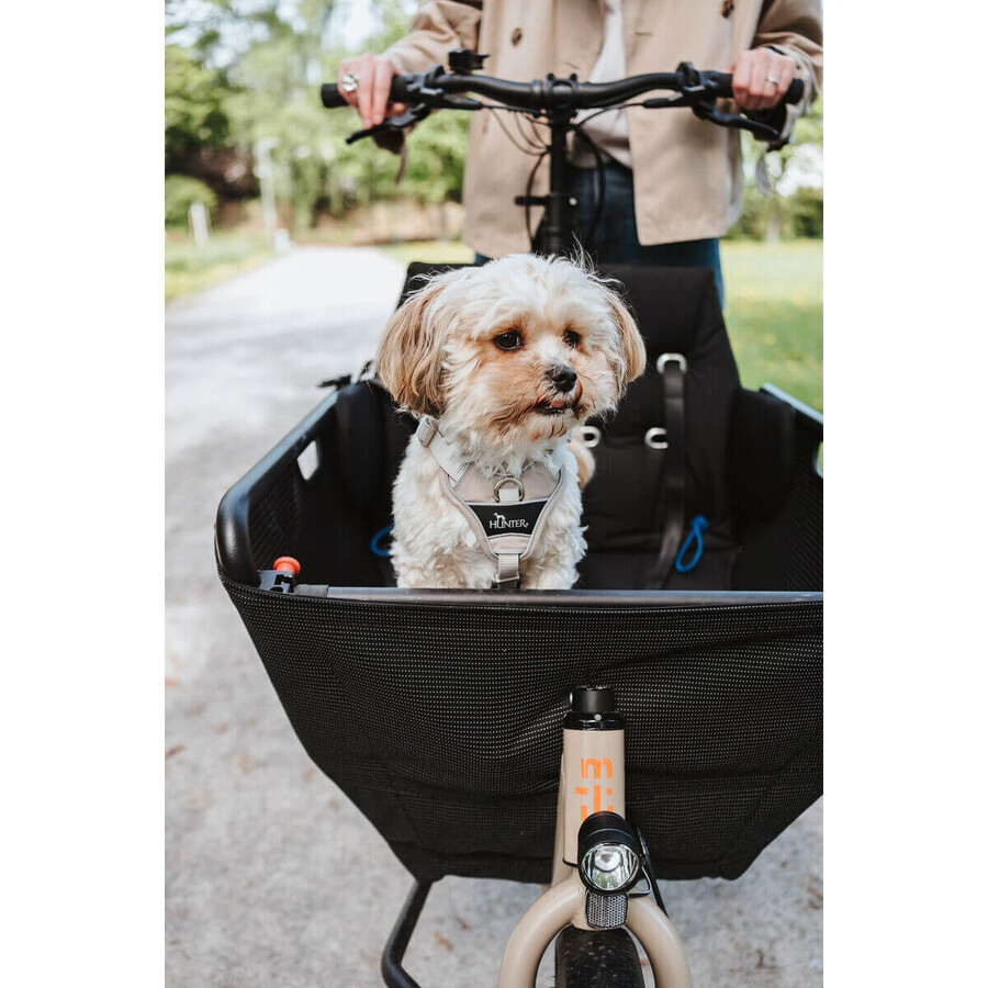 Harnais pour Chien Hunter DIVO UP Beige L