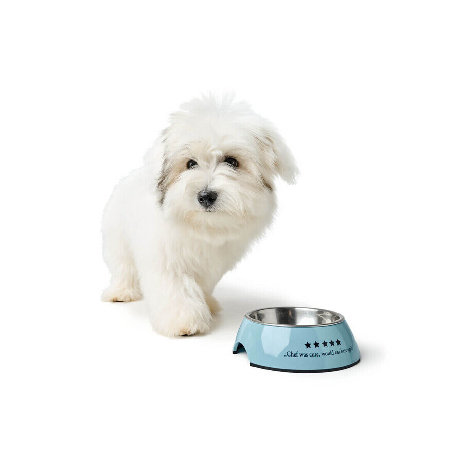 Futternapf für Hunde Hunter Mayfair Blau 350 ml Futternapf für Hunde Hunter Mayfair Blau 350 ml