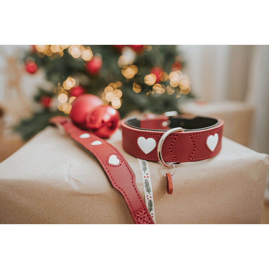Collier pour Chien Hunter Love M/L 47-54 cm Rouge Collier pour Chien Hunter Love M/L 47-54 cm Rouge