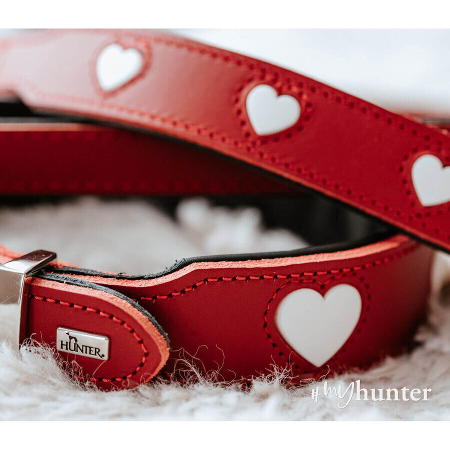 Collier pour Chien Hunter Love M/L 47-54 cm Rouge Collier pour Chien Hunter Love M/L 47-54 cm Rouge