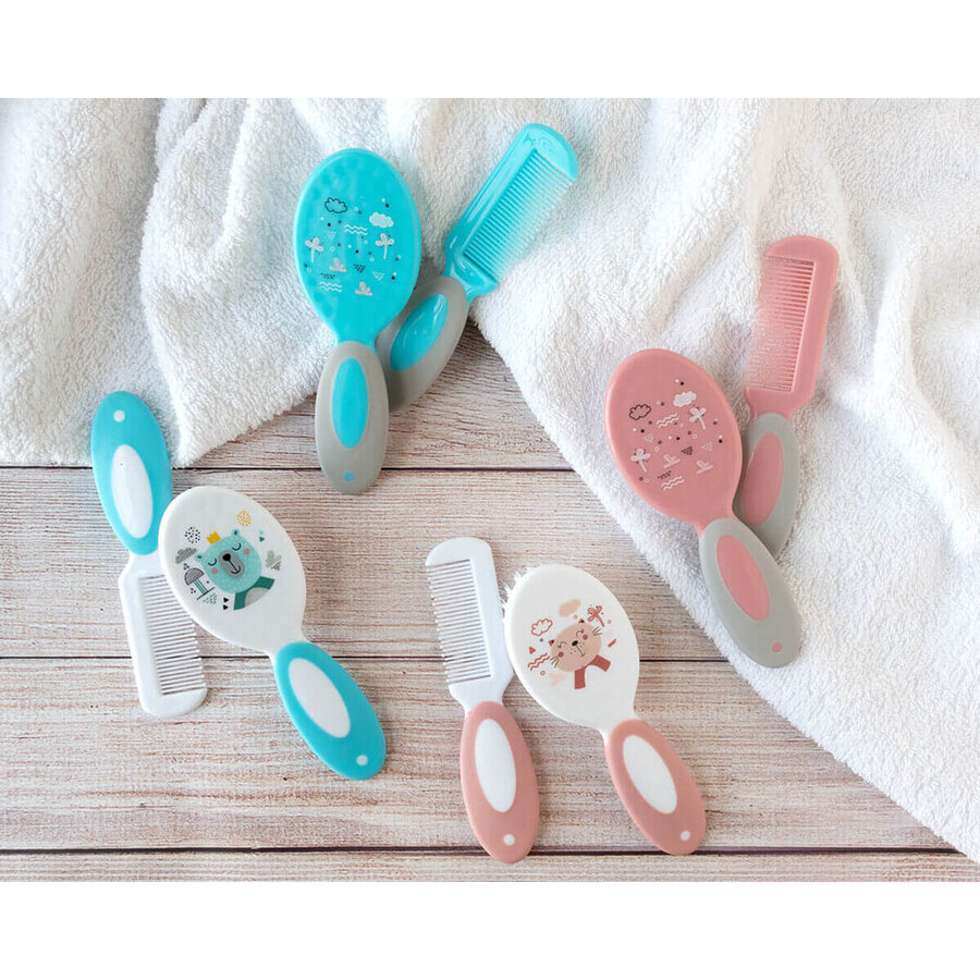 Ensemble de peignes/brosses Ensemble de peignes/brosses