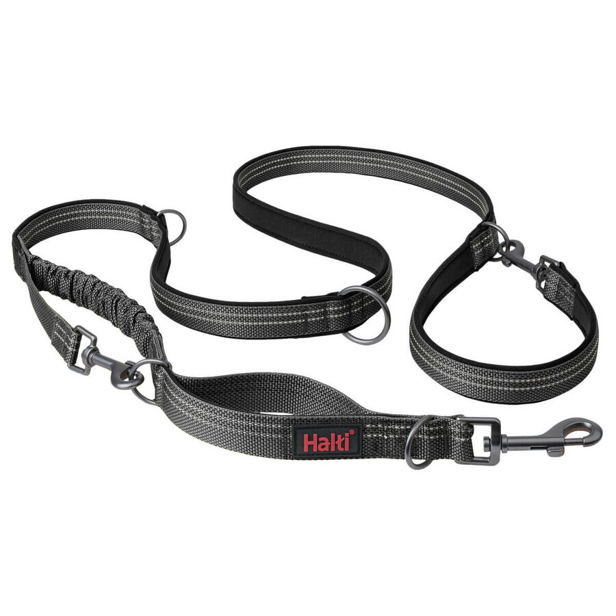 Buy Dog Lead Company of Animals Grey L Dog Lead Company of Animals Grey L