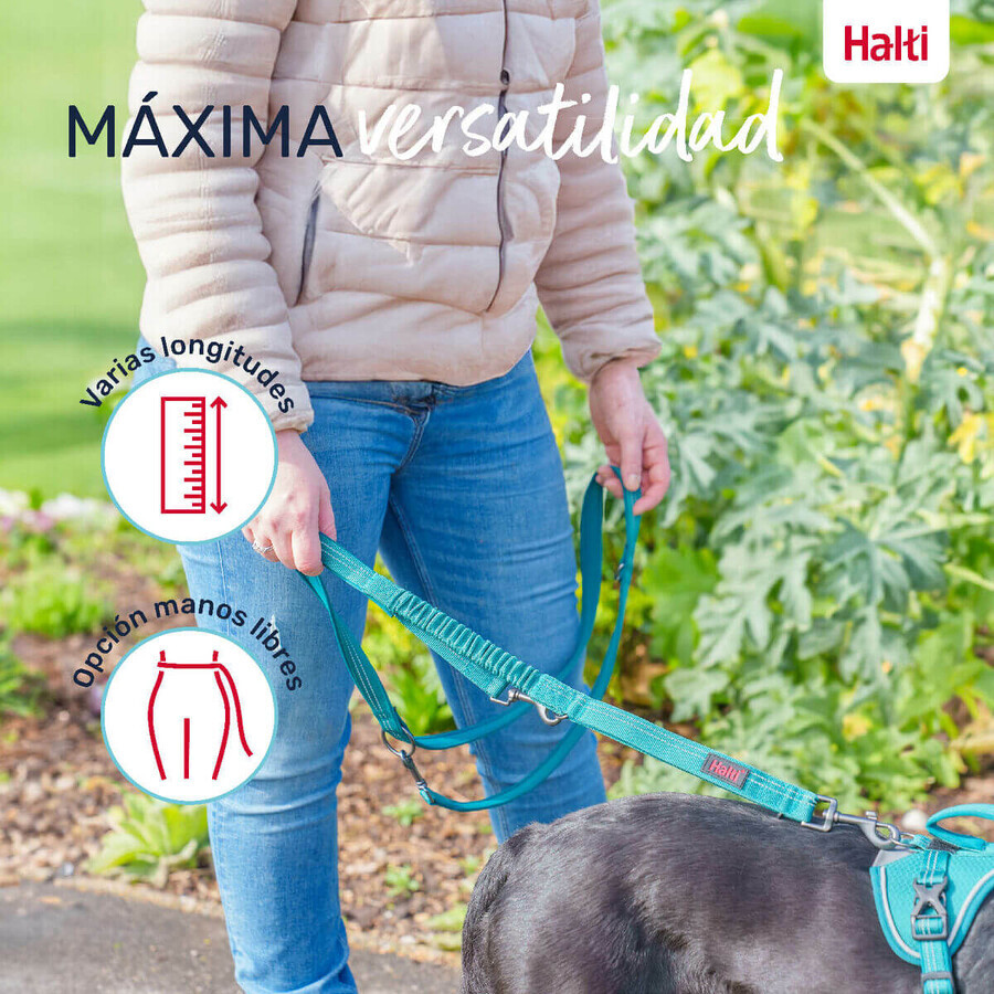 Dog Lead Company of Animals Grey L Dog Lead Company of Animals Grey L