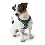Hondentuigje Hunter Hilo-Comfort Blauw Maat M/L (58-63 cm)
