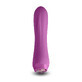Mini-Vibrateur NS Novelties Charms Fern Ruby Red