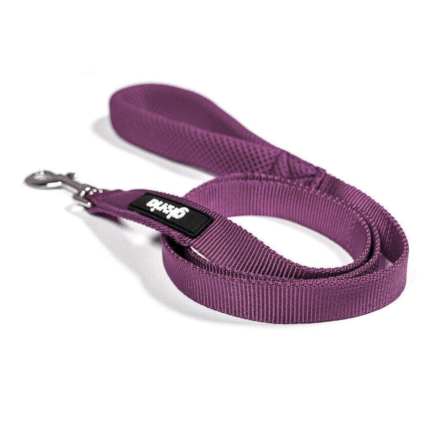 Dog Lead Gloria Purple S Dog Lead Gloria Purple S