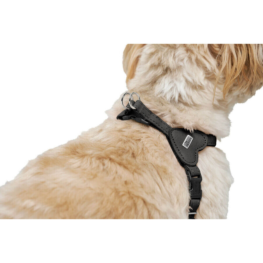 Harnais pour Chien Hunter SOHO MINI Noir XS/S Harnais pour Chien Hunter SOHO MINI Noir XS/S