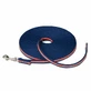 Coachi Correa Doma Azul Azul 10m Entrenamiento