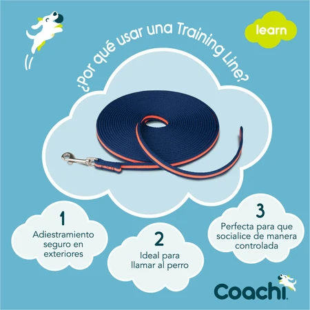 Coachi Correa Doma Azul Azul 10m Entrenamiento