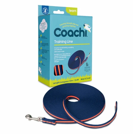 Coachi Correa Doma Azul Azul 10m Entrenamiento