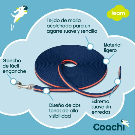 Coachi Correa Doma Azul Azul 10m Entrenamiento