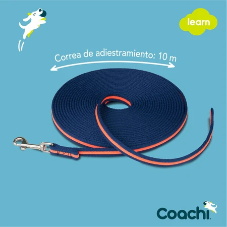 Coachi Correa Doma Azul Azul 10m Entrenamiento
