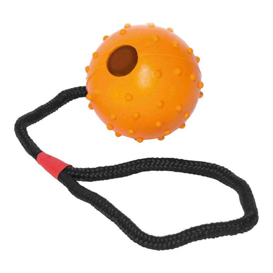 Winkel op Kauwspeelgoed voor honden Gloria Met touw Rubber (7 cm) (7 x 30 cm) Kauwspeelgoed voor honden Gloria Met touw Rubber (7 cm) (7 x 30 cm)