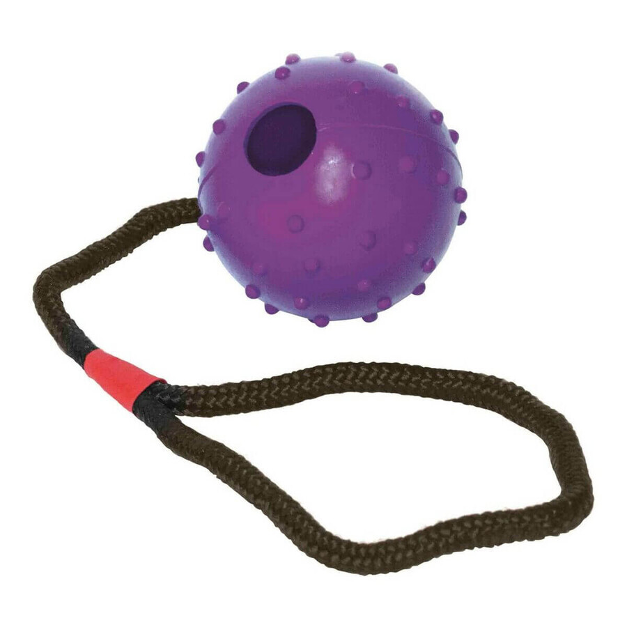 Kauwspeelgoed voor honden Gloria Met touw Rubber (7 cm) (7 x 30 cm) Kauwspeelgoed voor honden Gloria Met touw Rubber (7 cm) (7 x 30 cm)