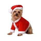 Costume de chien Père Noël