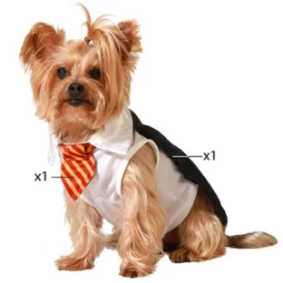 Disfraz de mago para perro Talla S