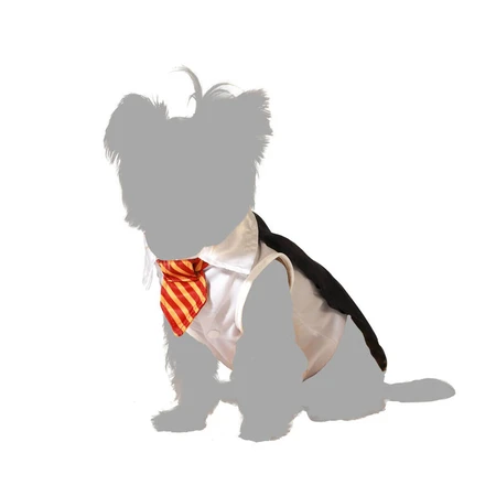 Disfraz de mago para perro Talla S