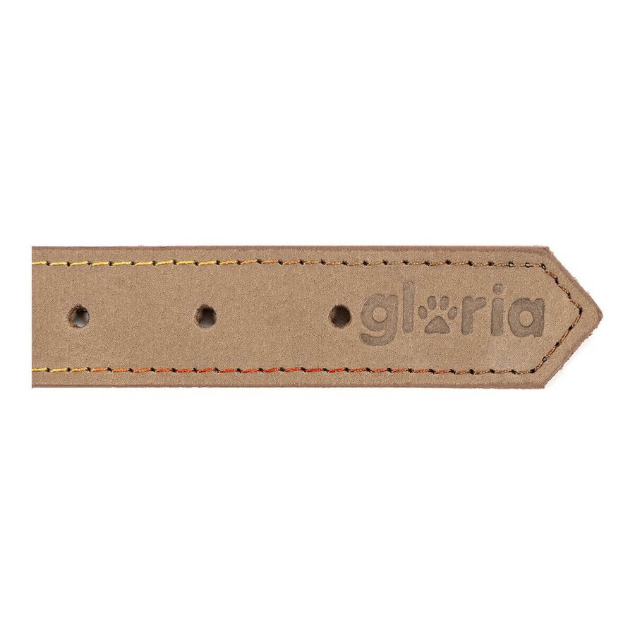 Zgardă pentru câini Gloria Oasis Alb (55 x 2,5 cm)