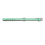 Hundehalsband Gloria Polsterung 45 cm grün (45 x 2 cm)