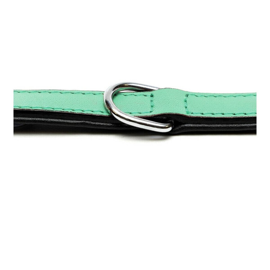 Hundehalsband Gloria Polsterung 45 cm grün (45 x 2 cm)
