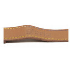 Dog Lead Gloria Oasis 2.1 x 100 cm Brown