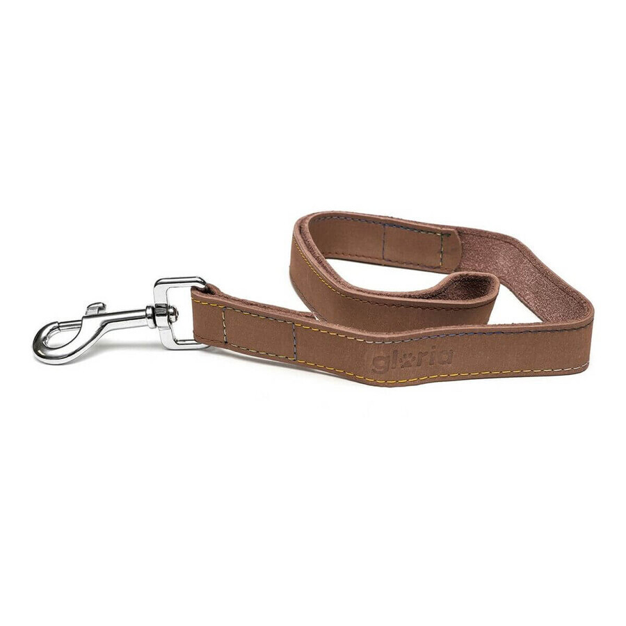 Dog Lead Gloria Oasis 2.1 x 100 cm Brown