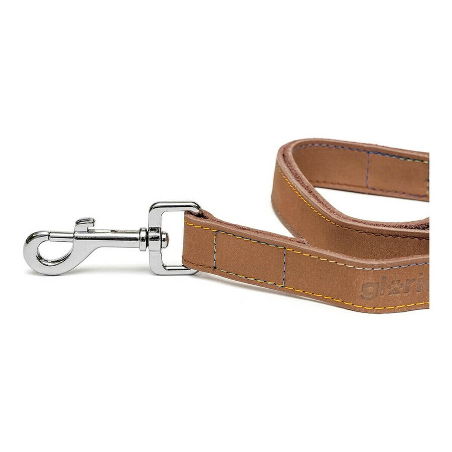 Dog Lead Gloria Oasis 2.1 x 100 cm Brown